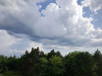 Low angle view of trees against cloudy sky