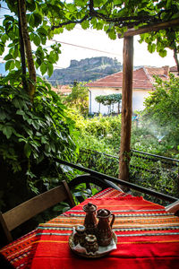 Plants and table by window against mountain