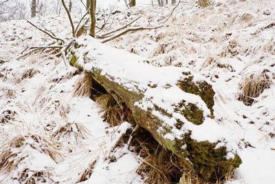 High angle view of snow on field during winter