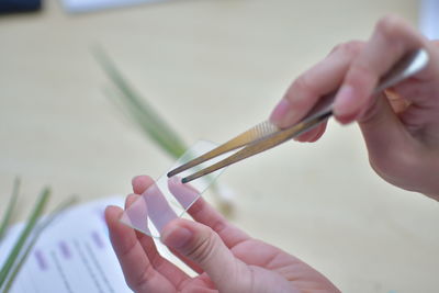 Close-up of person holding hands