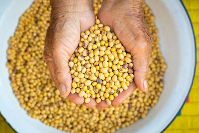 High angle view of hand holding corn