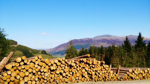 Stack of logs against trees and mountains against clear blue sky