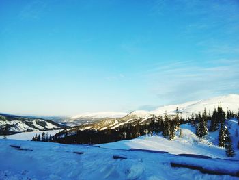 Snow covered landscape