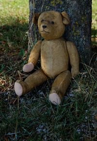 Close-up of abandoned toy on grass