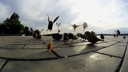 People on street against sky
