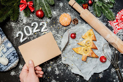 High angle view of hand holding christmas tree