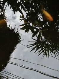 Low angle view of power lines against cloudy sky