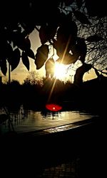 Silhouette tree by lake against sky during sunset