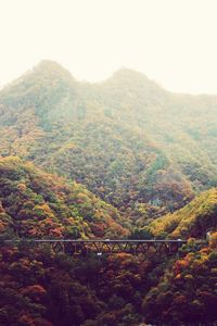 Scenic view of forest and mountains against sky