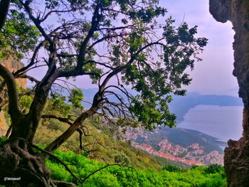 Scenic view of tree mountains against sky