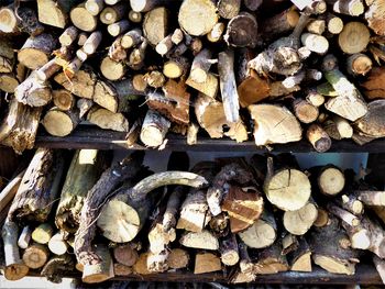 Full frame shot of logs in forest