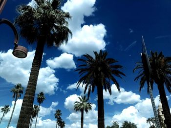 Low angle view of palm trees against cloudy sky