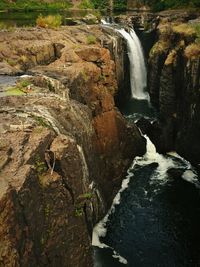 Scenic view of waterfall in forest