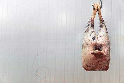 Pork hanging on hook in butcher shop