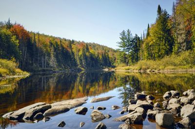 Scenic view of lake by trees against sky during autumn