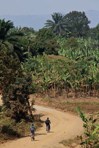 People working on field