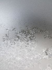 Full frame shot of bubbles