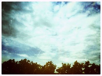 Low angle view of trees against cloudy sky