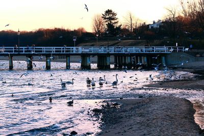 View of river at sunset