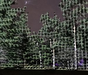 Trees by wall against sky