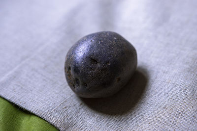 High angle view of coconut on jute