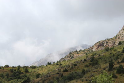 cloud