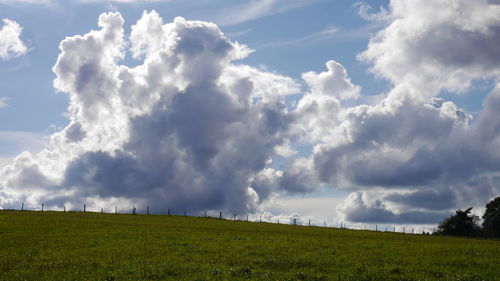 Scenic view of field against sky