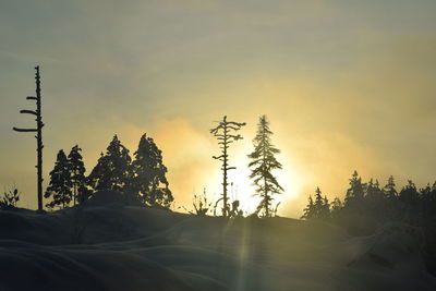 Silhouette trees on snow covered land against sky during sunset