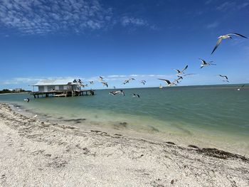  historical fish house 