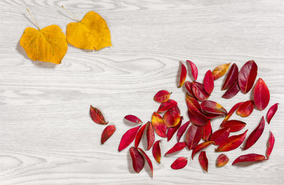 Close-up of red rose on table