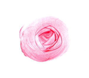 Close-up of pink rose against white background