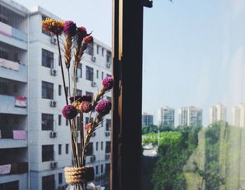 Panoramic shot of buildings against sky