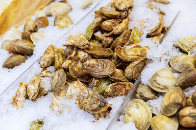 Close-up of seafood with ice for sale