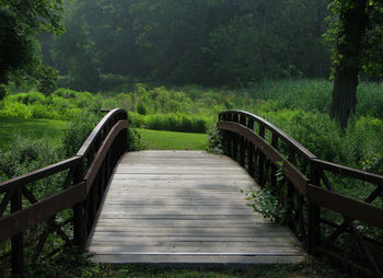 Boardwalk in forest