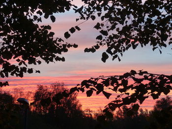 Silhouette trees against sky during sunset