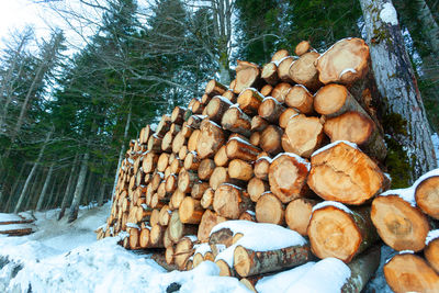 Close-up of firewood