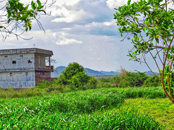 House on field by trees against sky