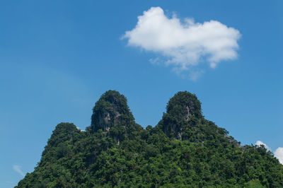 Low angle view of trees against blue sky