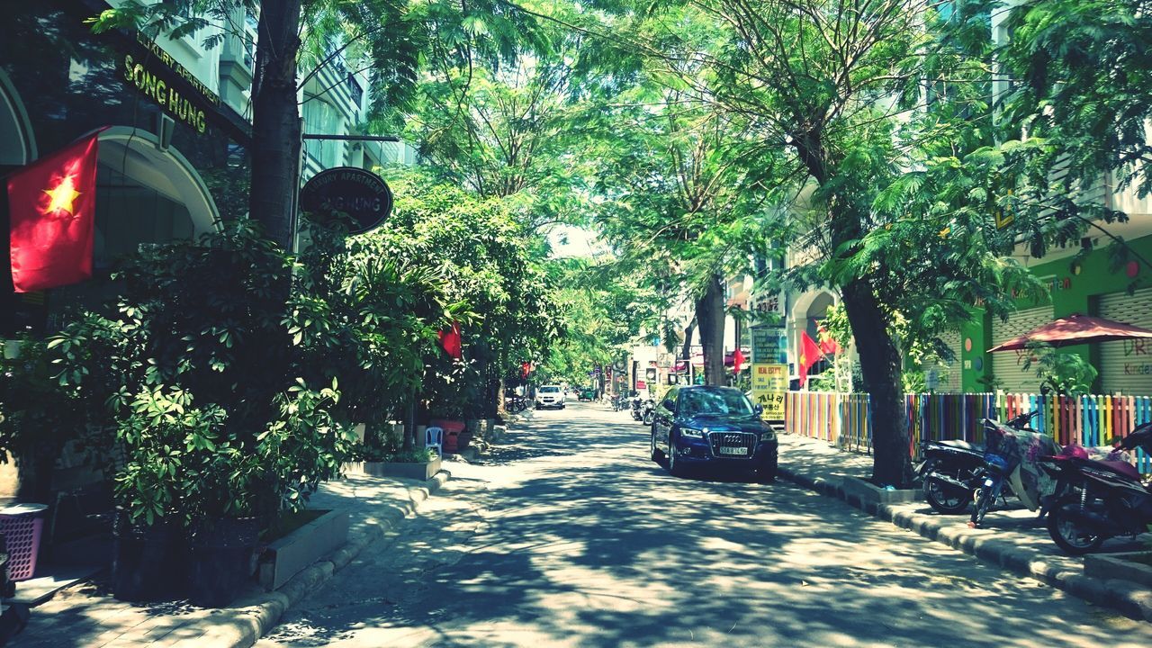 tree, transportation, land vehicle, mode of transport, the way forward, road, car, street, growth, in a row, men, day, sunlight, person, outdoors, hanging, incidental people, stationary, built structure