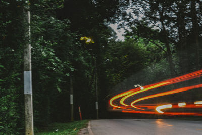 Light trails on road amidst trees in forest at night