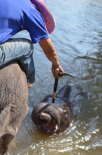 Close-up of man with elephant in water