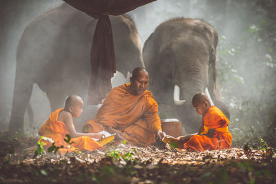 Monks reading books while sitting by elephant at forest