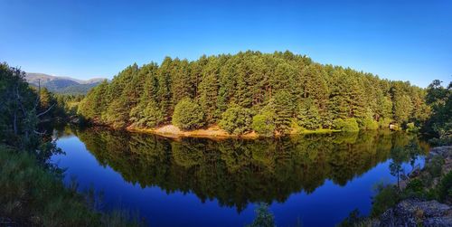 Scenic view of lake by trees against clear blue sky