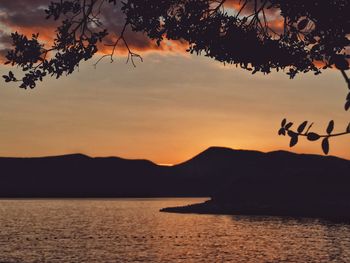 Silhouette tree by sea against sky during sunset