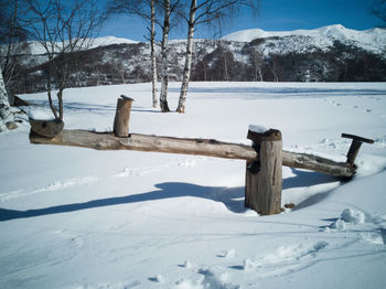 Wood teeter tootter in a children park