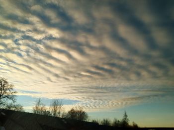 Low angle view of silhouette trees against dramatic sky