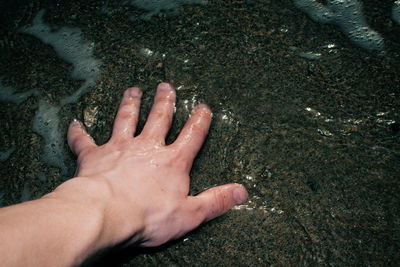 High angle view of human hand on land