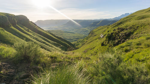 Scenic view of landscape against sky