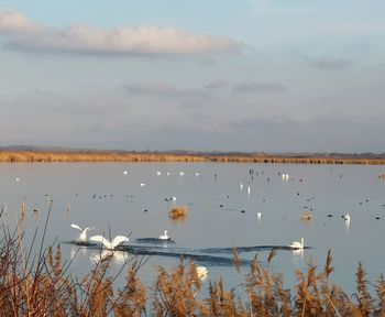 Scenic view of lake against sky