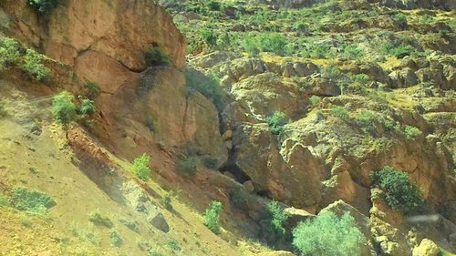 High angle view of elephant on stone wall